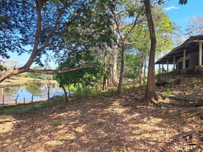 Lotes y fincas Ventas  Bayunca- Clemencia